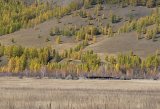Severozápadní Mongolsko,povodí Selenge a Urru 2007